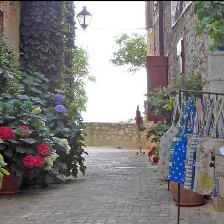 Apartment Beatrice. 10Mt To The Beach :) Rovinj Ngoại thất bức ảnh